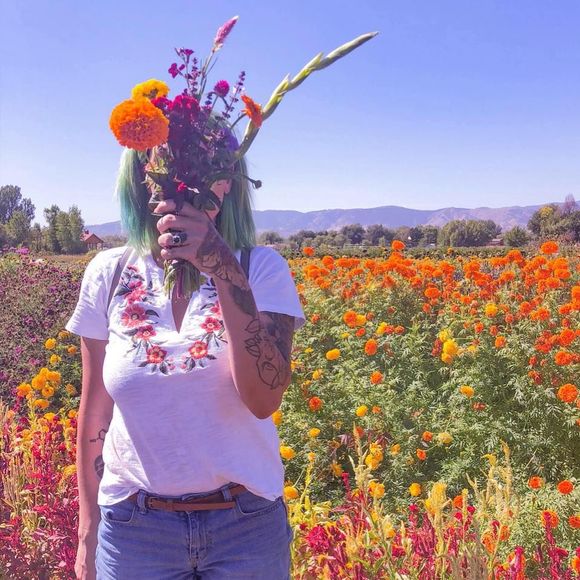 Meet your Posher, Baylor - Picture 1 of 1